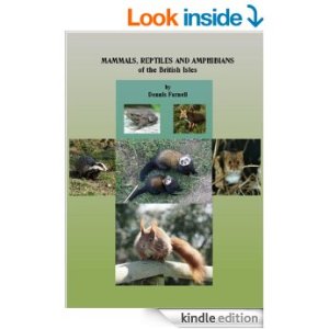 51zMrSAakLL._BO2,204,203,200_PIsitb-sticker-v3-big,TopRight,0,-55_SX324_SY324_PIkin4,BottomRight,1,22_AA346_SH20_OU02_